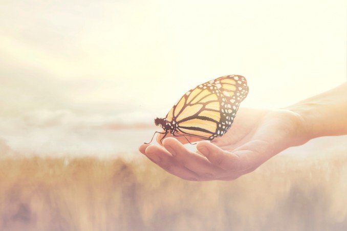 Counselling Gold Coast | Harmony Counselling Services Gold Coast