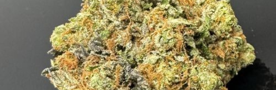 Dank Hub Cover Image