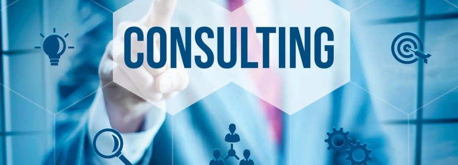 DandV Business Consulting Cover Image