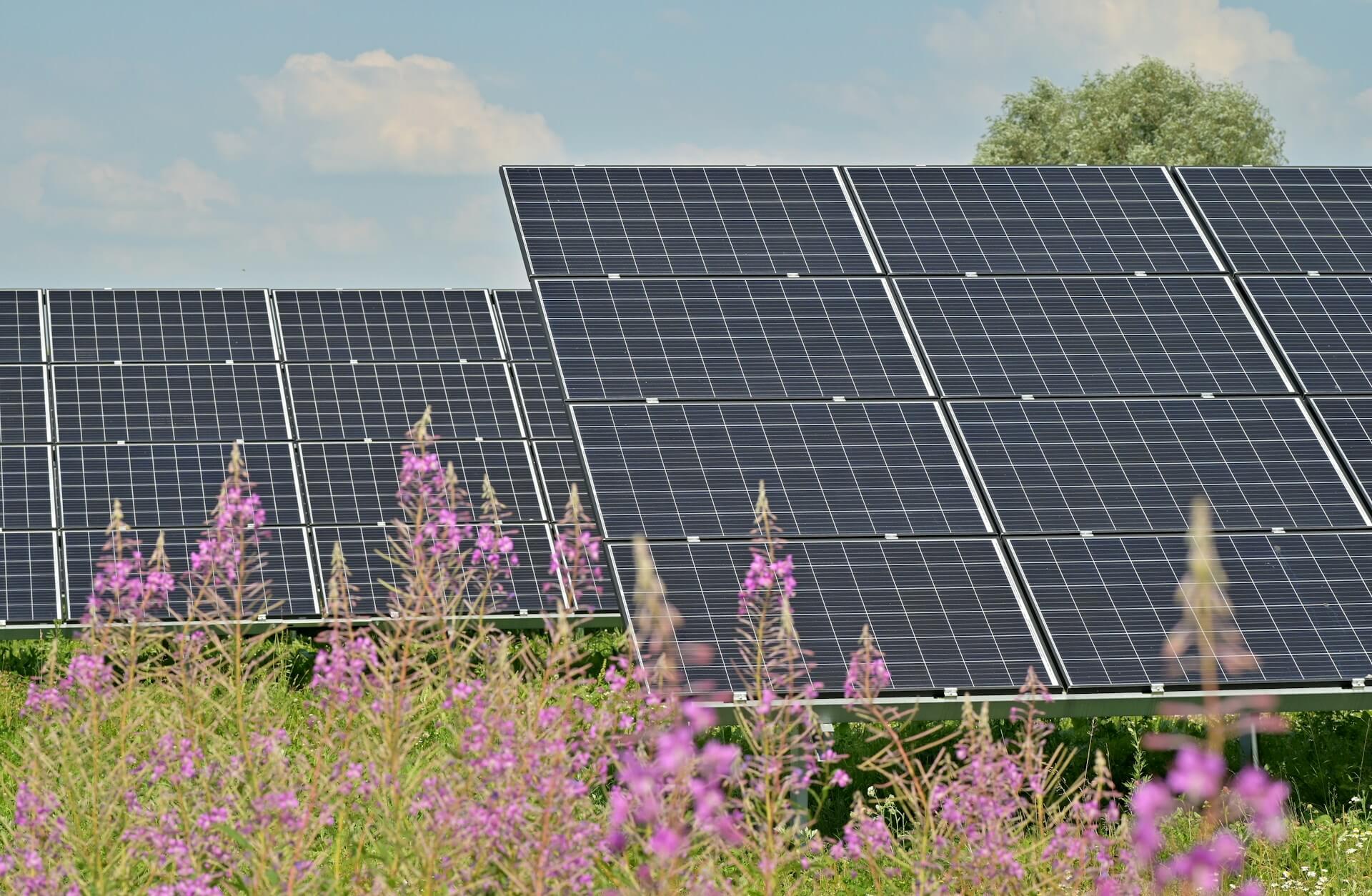 Top Rooftop Solar Companies and EPC Contractors in India