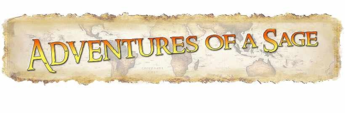 Adventures of a Sage Cover Image