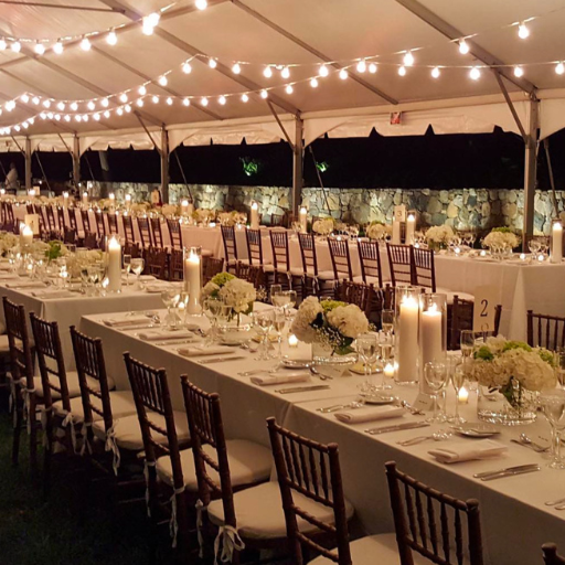 Essential Tips for Renting Party Equipment during Peak Season | by Pro Party Rental | Jun, 2025 | Medium