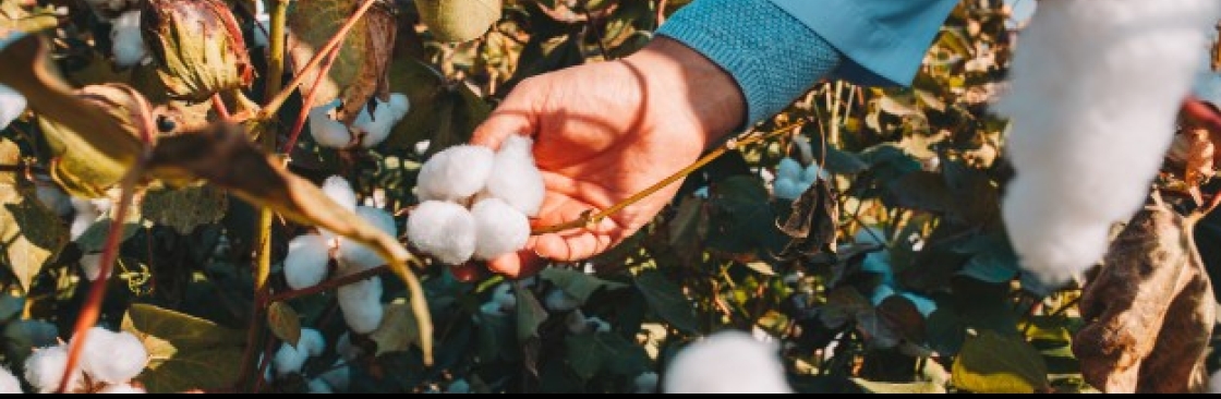 Organic Cotton Farms Cover Image
