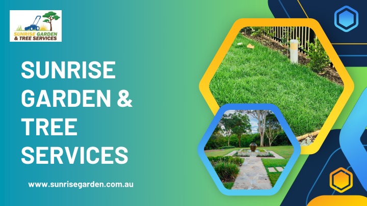 PPT - Best Tree Removal in Adelaide SA – Trusted Experts Just a Call Away PowerPoint Presentation - ID:14263046