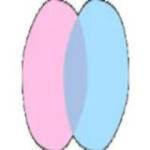 chat nederlands Profile Picture