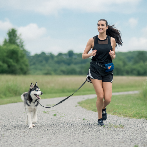 Best Hands-Free Dog Leash & Waist Belt | Poo Doo Leash