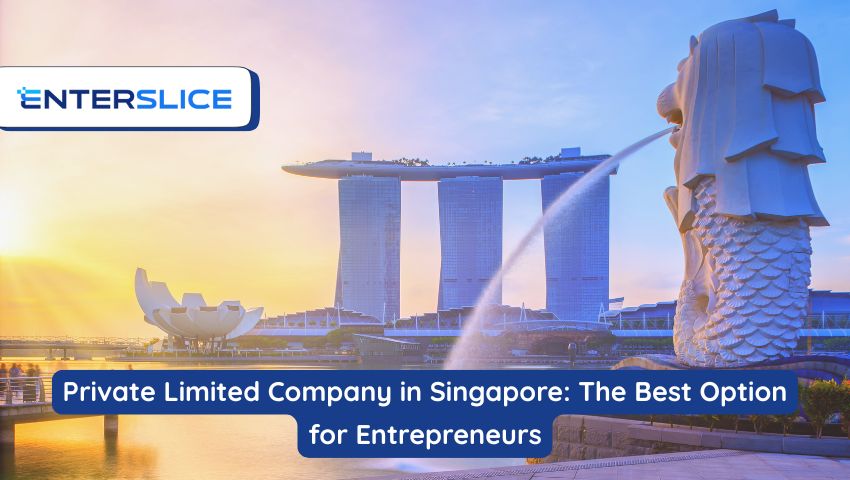 Private Limited Company in Singapore: The Best Structure for Entrepreneurs