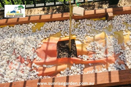 Transform Your Outdoor Space with a Professional Landscaping Service in Andrews Farm, Adelaide