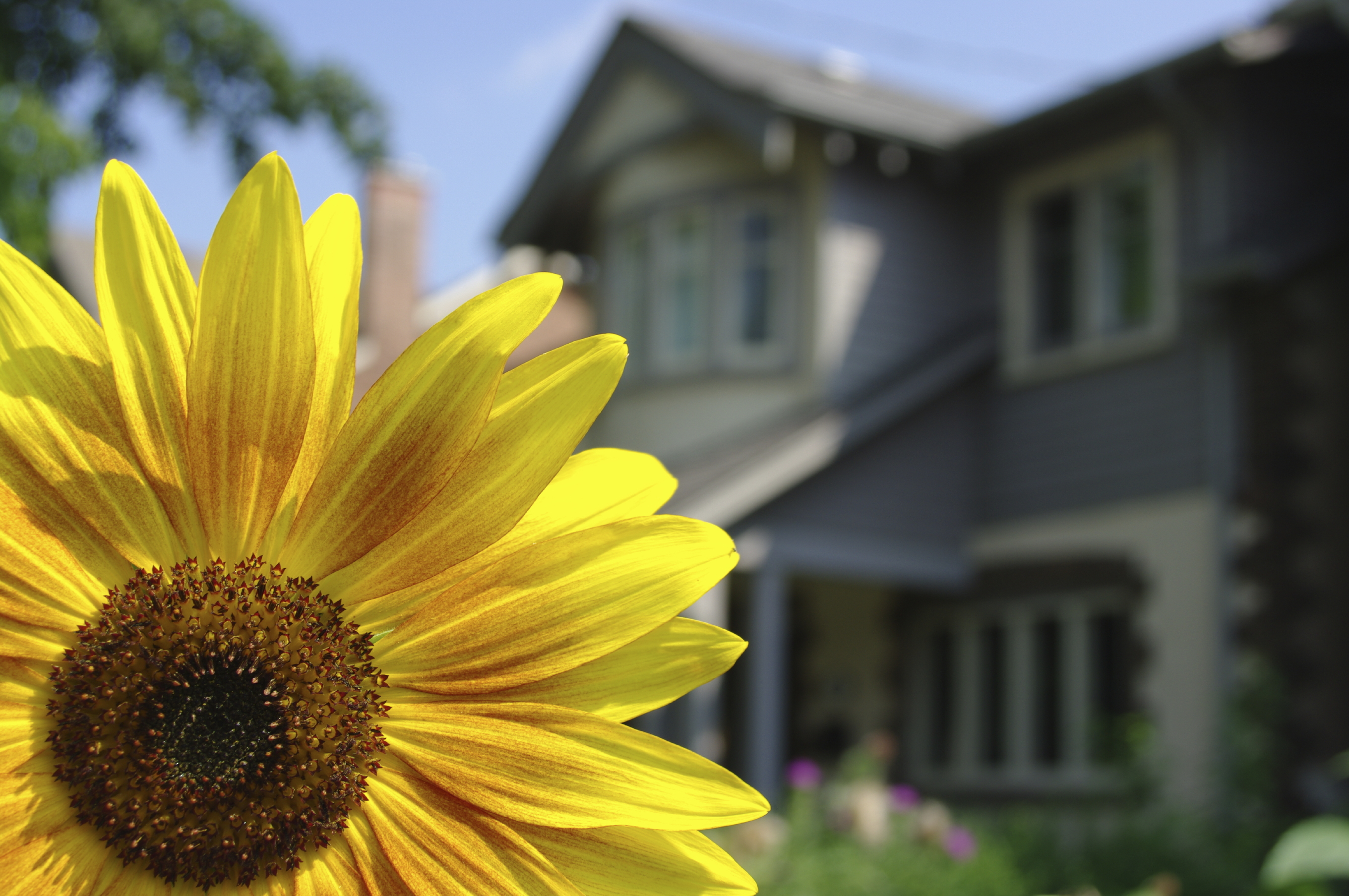 NREMG | Real Estate Market Trends: What to Expect in Spring 2025