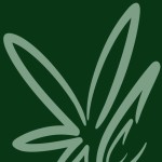 Cannabis Clones Profile Picture