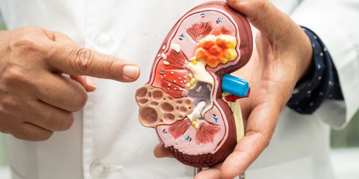 Expert Kidney Care with the Best Nephrologist Doctor in Sahibabad – V Care Hospital