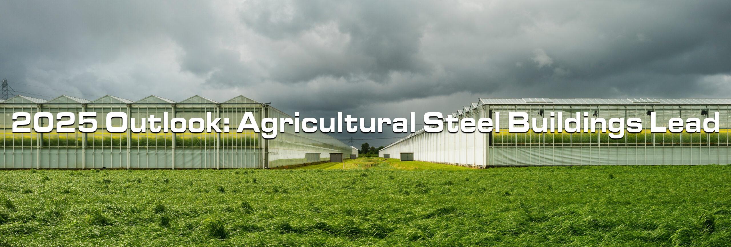 2025 Outlook: Agricultural Steel Buildings Lead