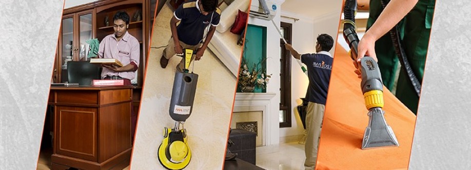 Themaids Cleaning Cover Image