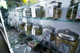 Discovering the future of cannabis retail greatness | Sun Cannabis