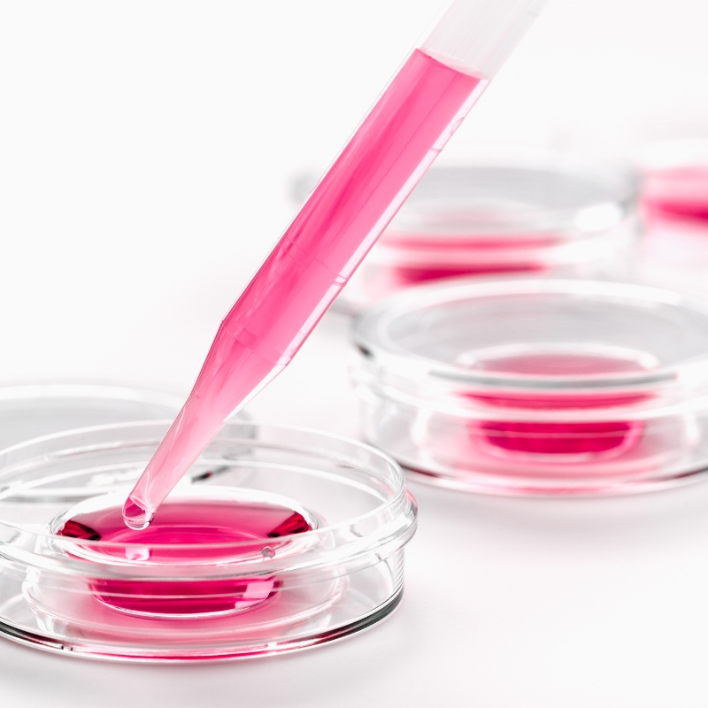 Best IVF Centre in Hyderabad | IVF Hospital in Hyderabad