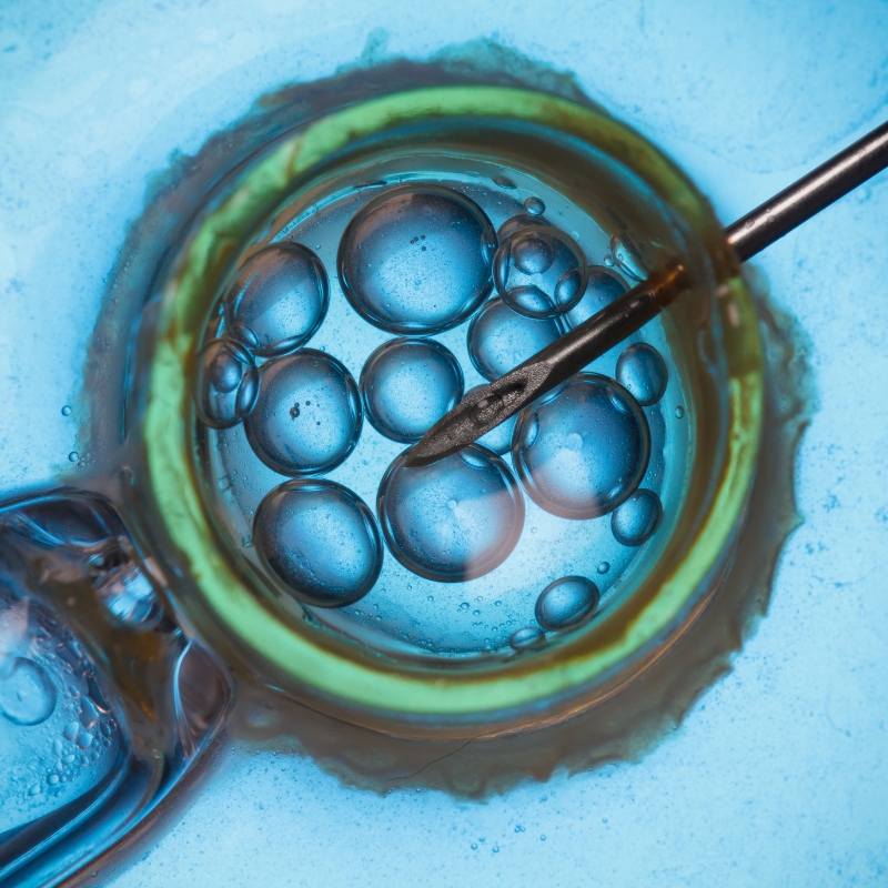 Best IVM Treatment Centre in Hyderabad – 9M Fertility