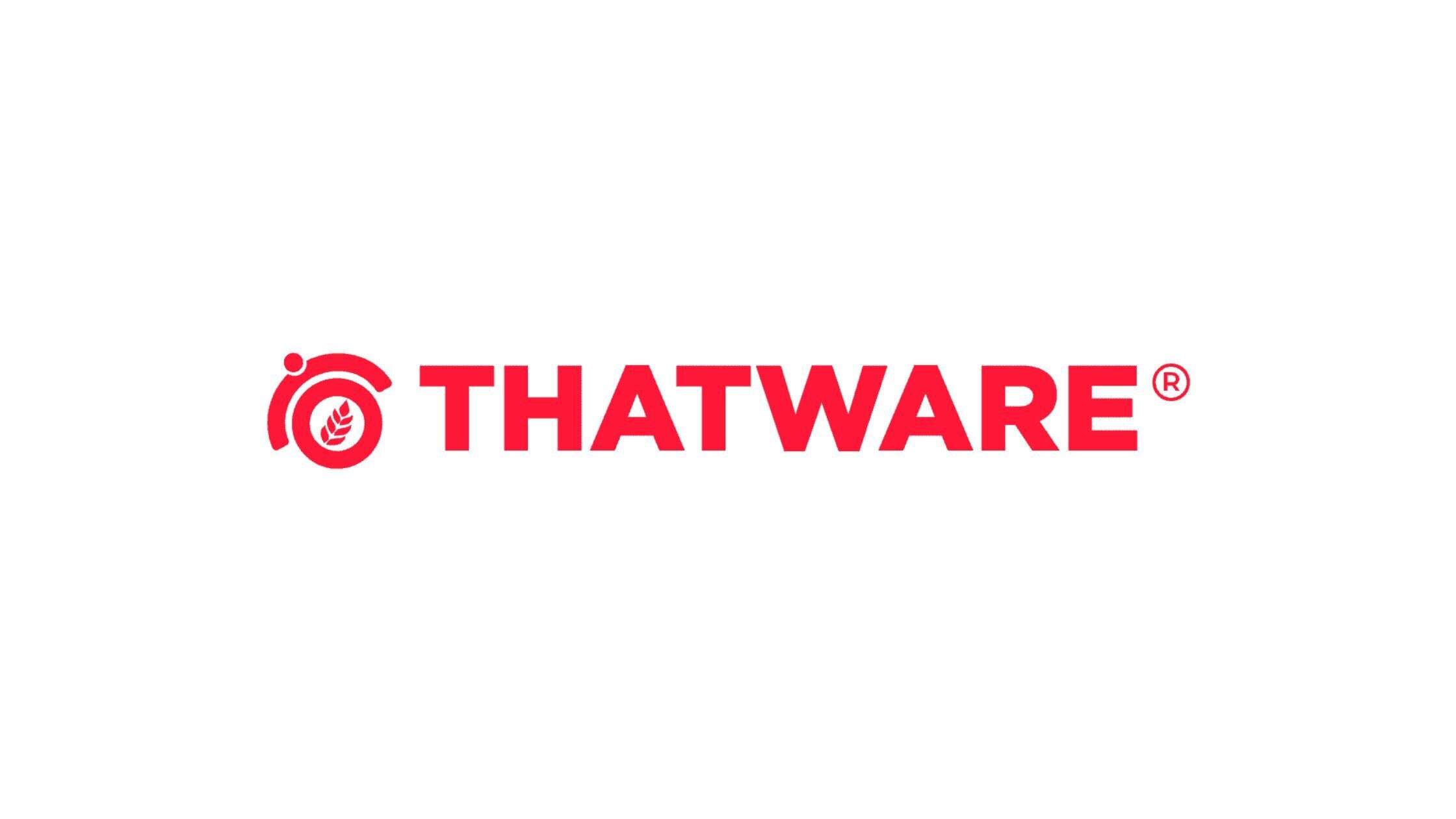 Maximize Online Visibility with ThatWare LLP - SEO..