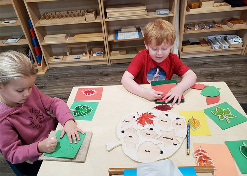 Nurturing Potential: Why Private Elementary Schools Excel at Individualized Attention