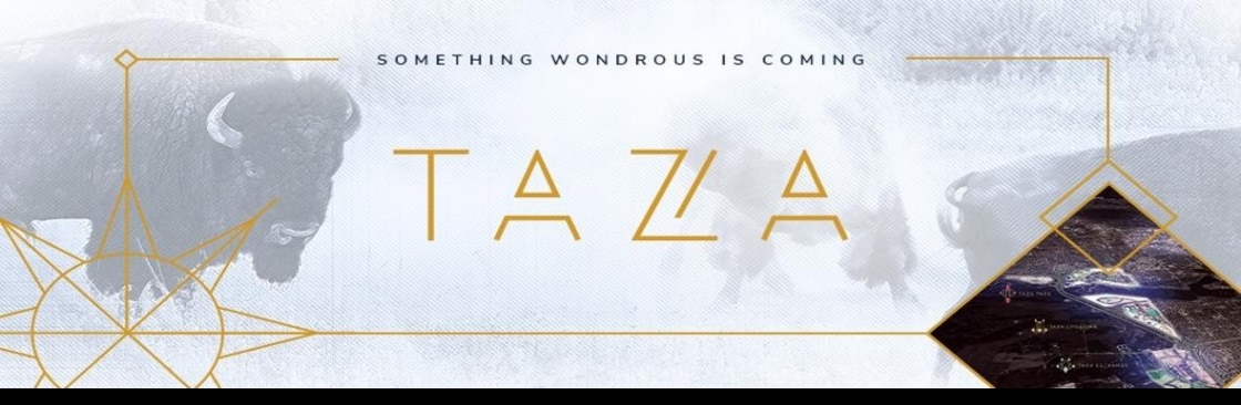 Taza Development Cover Image