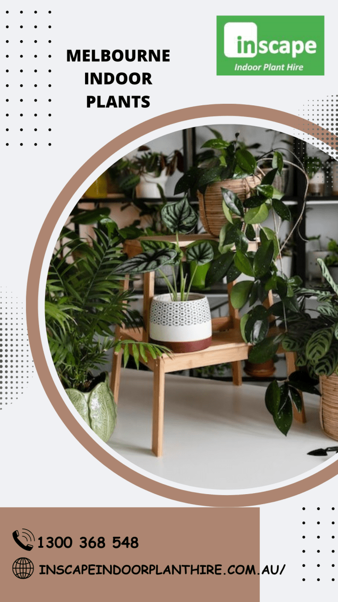 Enhance Your Space with Indoor Plant Rental in Melbourne – Inscape Indoor Plant Hire
