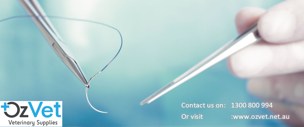 From Clinics to Kennels: Why Aussie Vets Are Choosing Skin Staplers and Non-Absorbable Sutures | by Ozvet Medical Supplies | Jul, 2025 | Medium