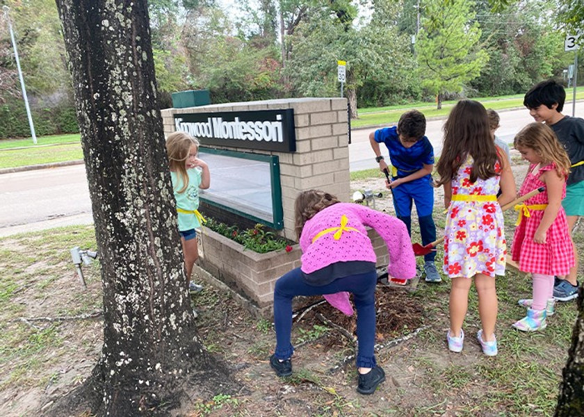 The Absorbent Mind in Nature: How Summer Experiences Shape Young Learners