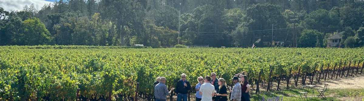 When Is the Best Time to Book Napa Valley Wine Tours? – ContentNest Pro